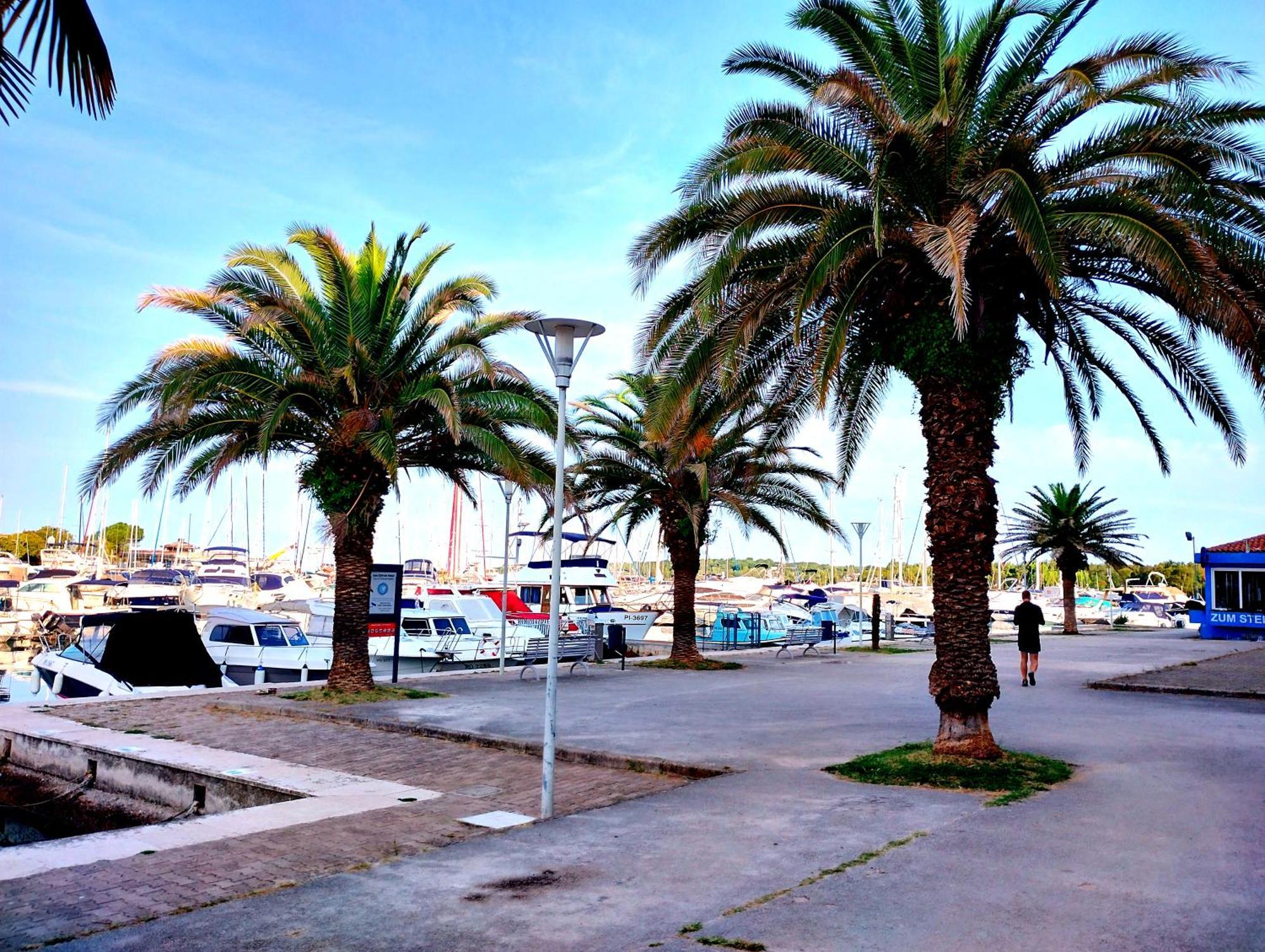 Premium Apartment Eden Poreč Exteriör bild