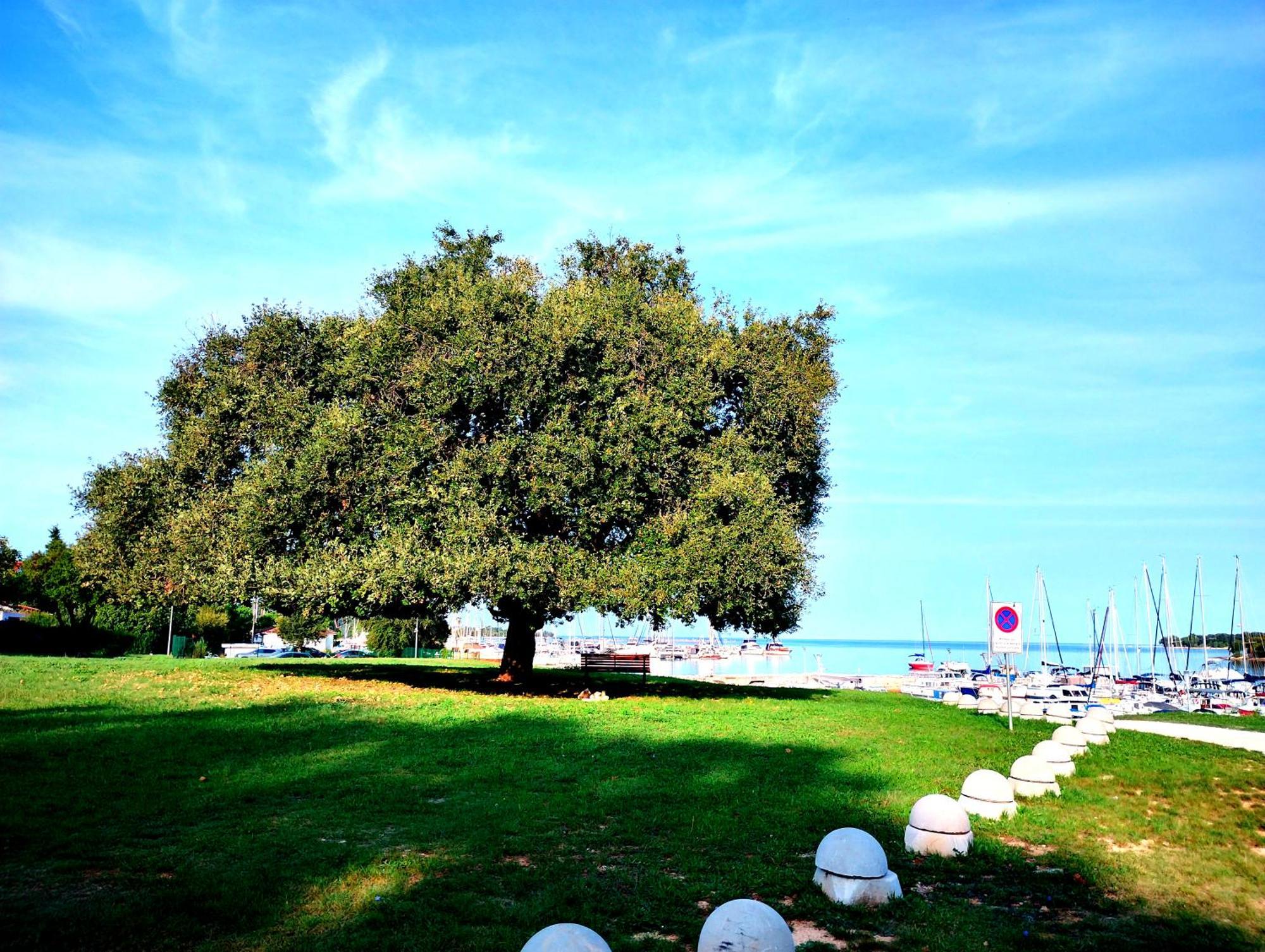 Premium Apartment Eden Poreč Exteriör bild